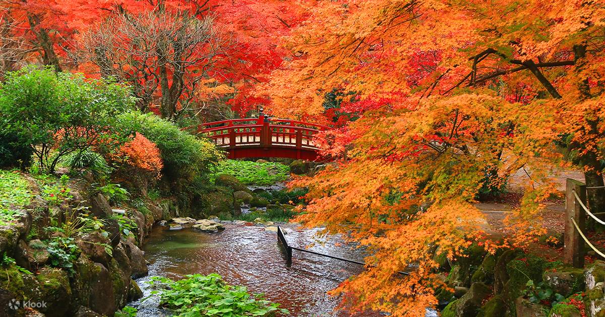 Izu & Atami: Shuzenji Onsen Fall Foliage Viewing Day Tour